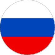 Шунгитовая пластина круглая D=2 см для мобильного телефона