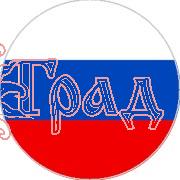 Шунгитовая пластина круглая D=2 см для мобильного телефона