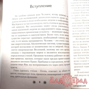 Жива. Славянская система целительства / Куровские