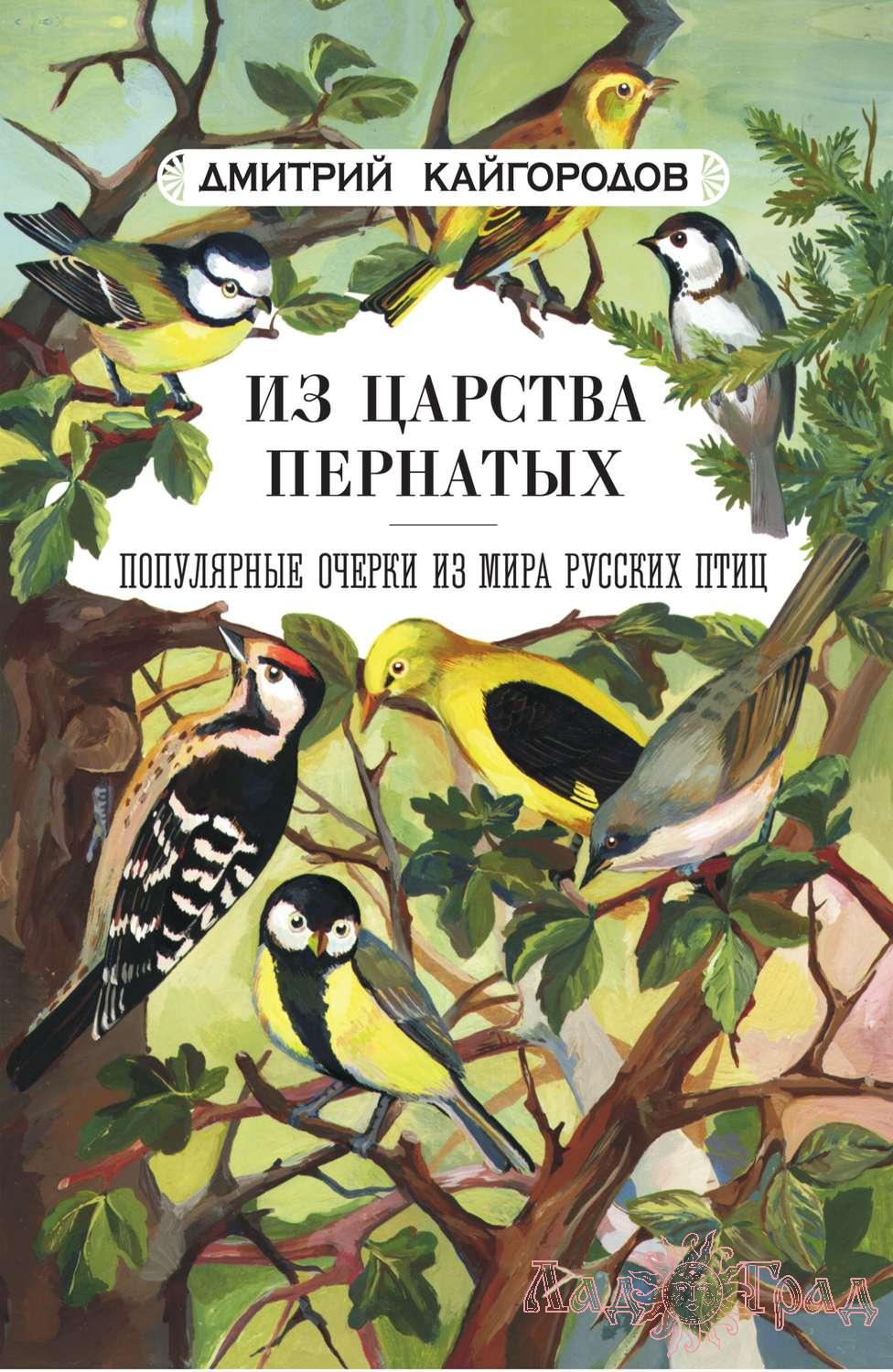 Кайгородов Д. 