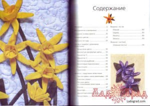 ЦВЕТЫ. Объемная аппликация / Шарон К. Бейкер